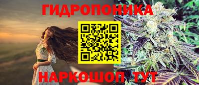 экстази Ачхой-Мартан