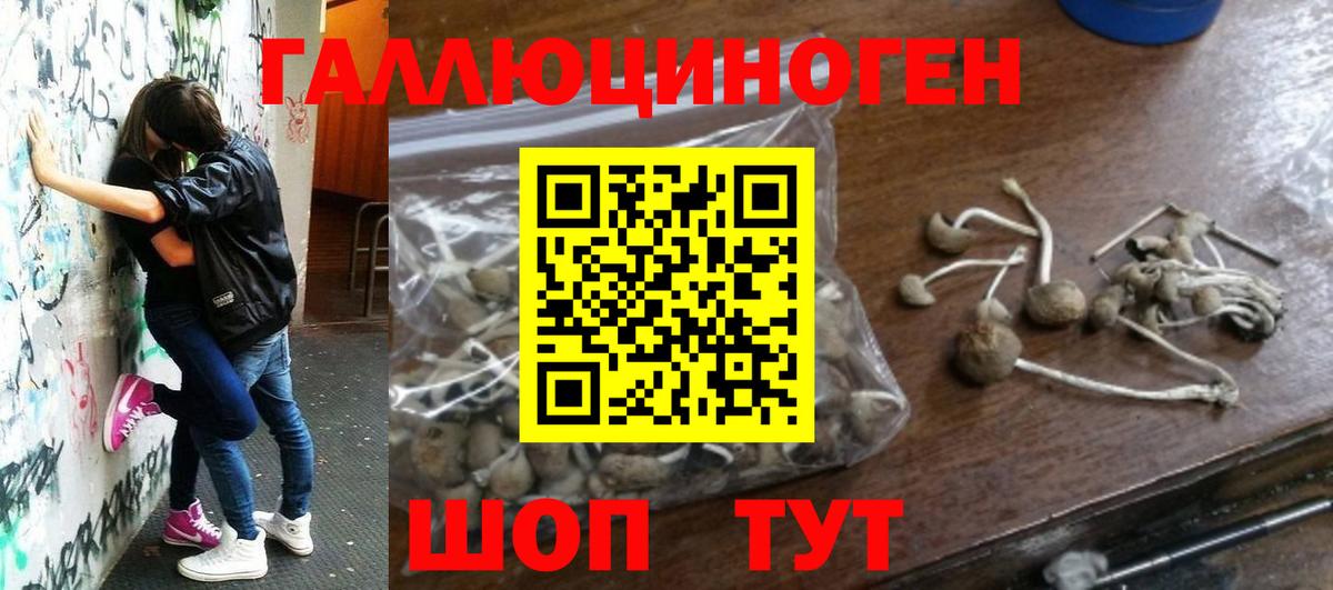 Унеча  Галлюциногенные грибы ЛСД  Вход с VPN 